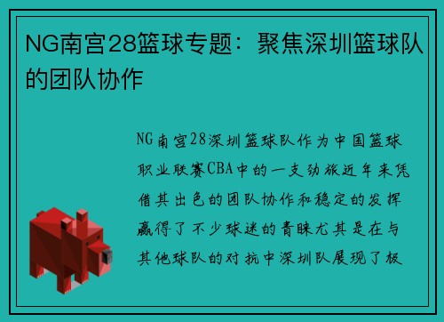 NG南宫28篮球专题：聚焦深圳篮球队的团队协作